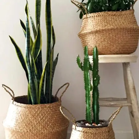 Almare Bed & Breakfast