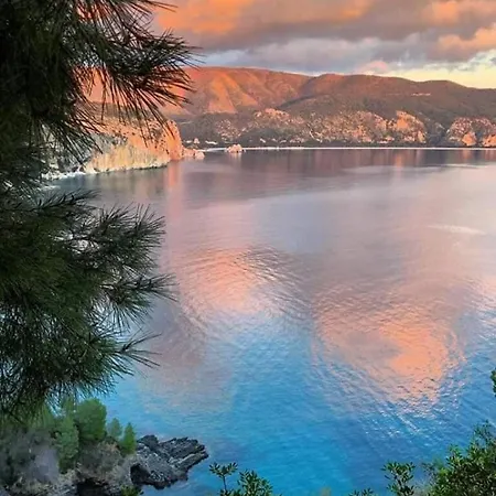 Almare Отель типа 