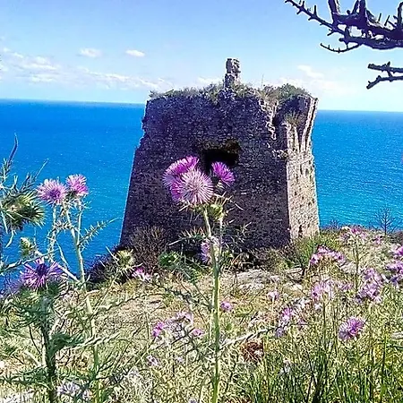 Almare Bed & Breakfast Palinuro