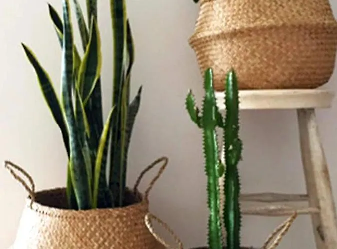 Almare Nocleg ze śniadaniem